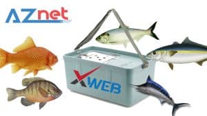 Website bán hàng chính là cái xô đựng cá